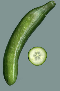 Gurke Gurke